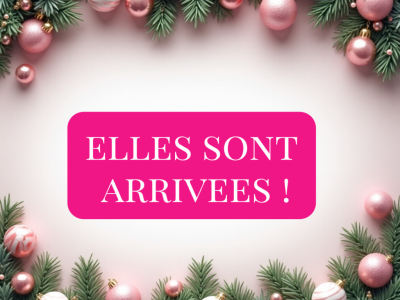 Les Confitures de Noël sont arrivées chez Muroise et compagnie !